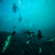 2025 MAGBAY EXPEDITION 20- 23  NOVEMBER 2025