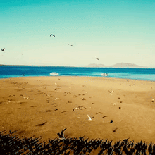 2025 MAGBAY EXPEDITION 20- 23  NOVEMBER 2025