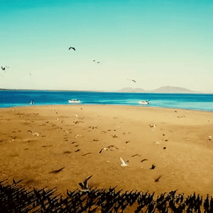 2025 MAGBAY EXPEDITION 20- 23  NOVEMBER 2025