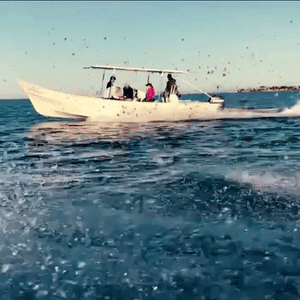2025 MAGBAY EXPEDITION 20- 23  NOVEMBER 2025