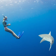 SHARK EXPEDITION BAJA   13- 16 JULY 2023