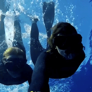 SHARK EXPEDITION BAJA   13- 16 JULY 2023