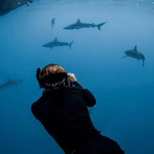SHARK EXPEDITION BAJA   13- 16 JULY 2023