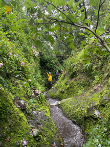 CASCADAS SAGRADAS TEPOZTLÁN & SALSA NIGHT SABADO 29 JULIO 2023